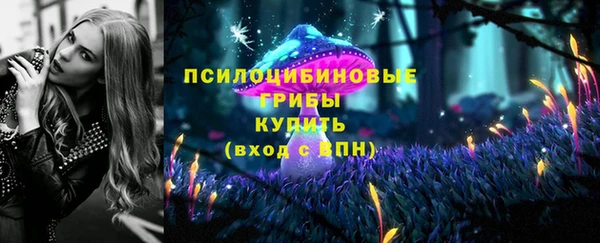 сатива Арсеньев