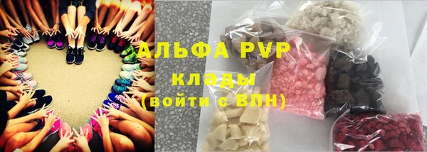 сатива Арсеньев