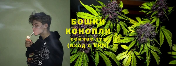 ПСИЛОЦИБИНОВЫЕ ГРИБЫ Новочеркасск