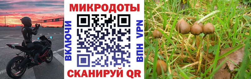 Псилоцибиновые грибы прущие грибы  кракен сайт  Берёзовский  цены наркотик 