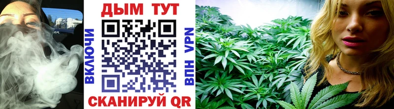 darknet Telegram  Берёзовский  МАРИХУАНА SATIVA & INDICA 